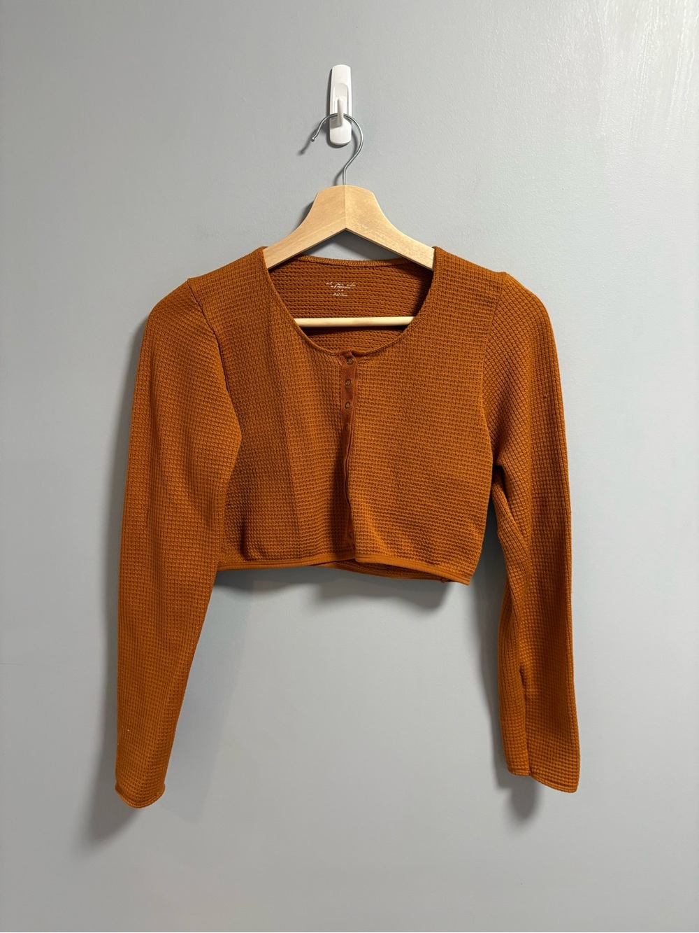 Out From Under Cropped Long Sleeve Top